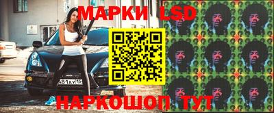 прущие грибы Кингисепп