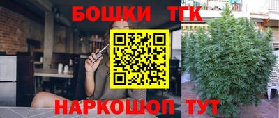 прущие грибы Кингисепп