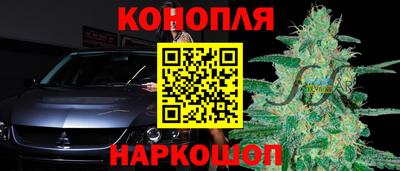 прущие грибы Кингисепп