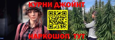 прущие грибы Кингисепп