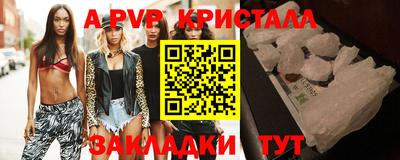 прущие грибы Кингисепп