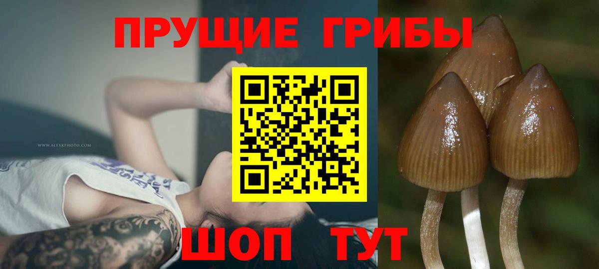 Псилоцибиновые грибы MAGIC MUSHROOMS Лянтор